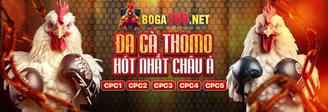 Biểu tượng đa dạng trò chơi và đối tác game